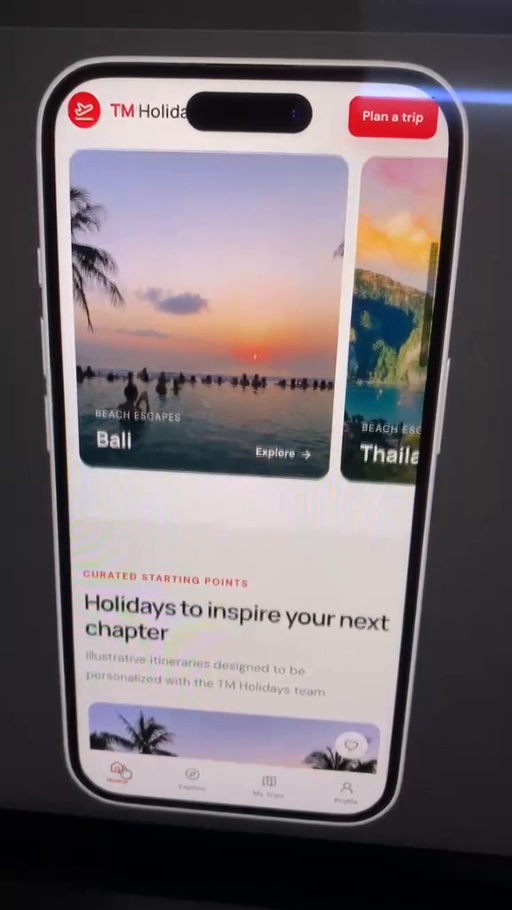 TM Holidays app interface preview